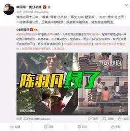 沧兴一品爆料事件视频全集,揭秘背后真相与争议