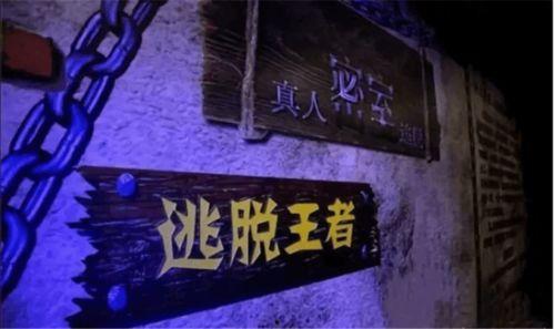 娱乐大爆料剧本杀,剧本杀背后的惊心动魄