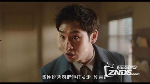 名侦探洪吉童在线观看,探案奇缘，智慧对决